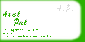 axel pal business card